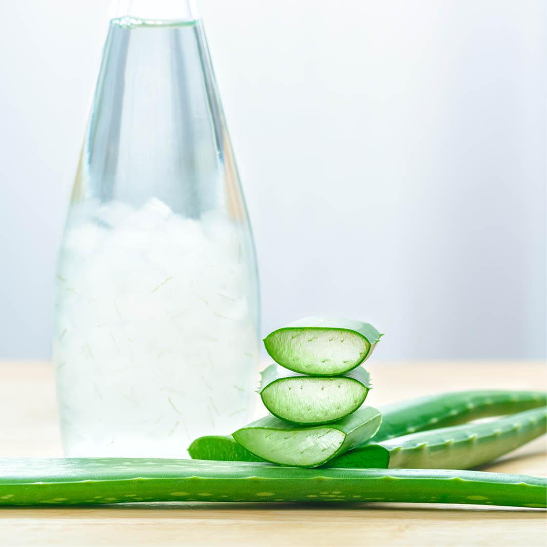 Aloe Vera Juice Benefits | HealthPost NZ