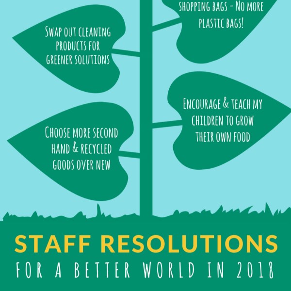 Staff Resolutions for a Better World in 2018 | HealthPost NZ
