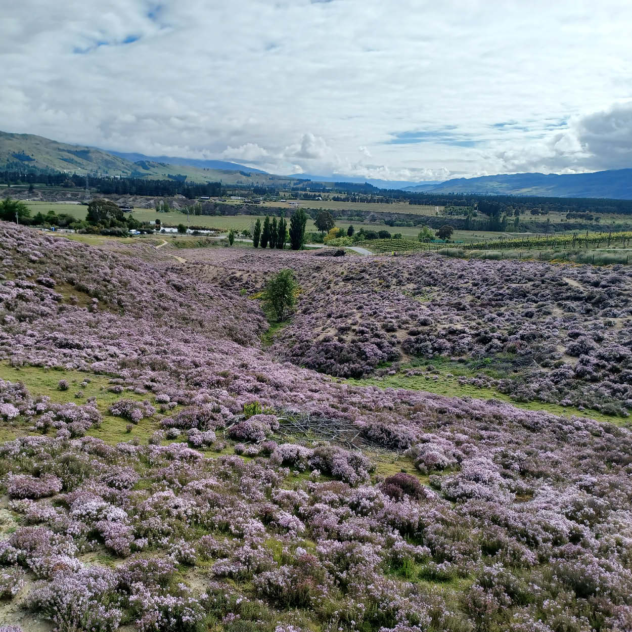 Your festive guide to holiday gifting - chosen by our team