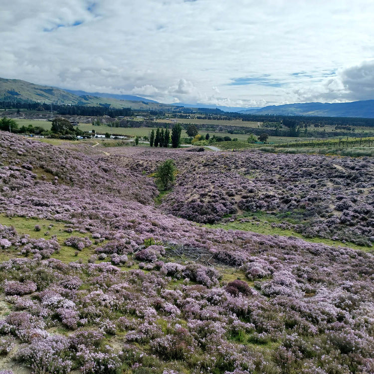 Your festive guide to holiday gifting - chosen by our team