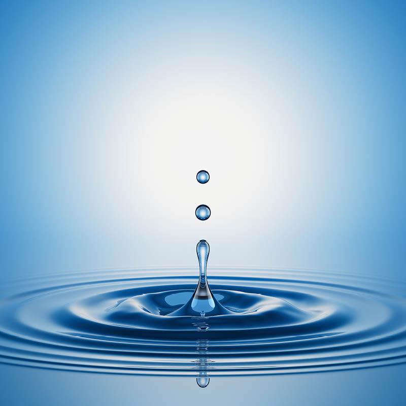 Your festive guide to holiday gifting - chosen by our team