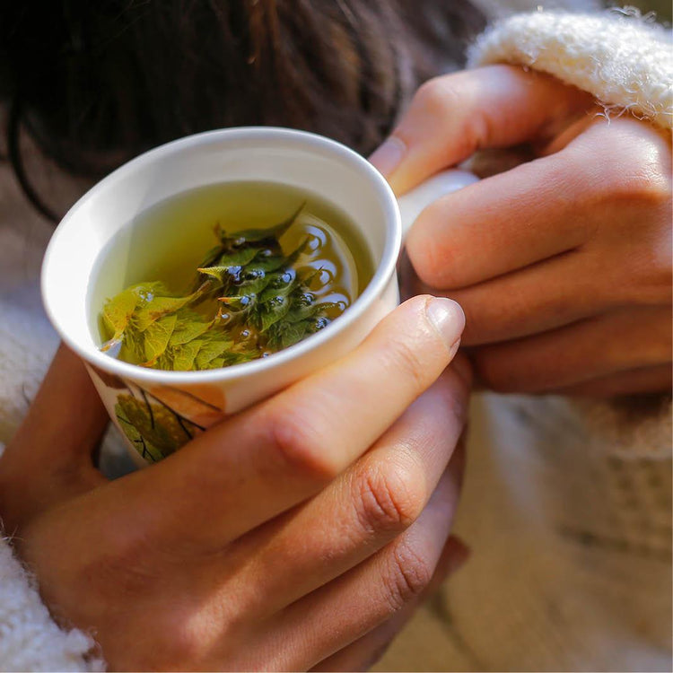 Your festive guide to holiday gifting - chosen by our team