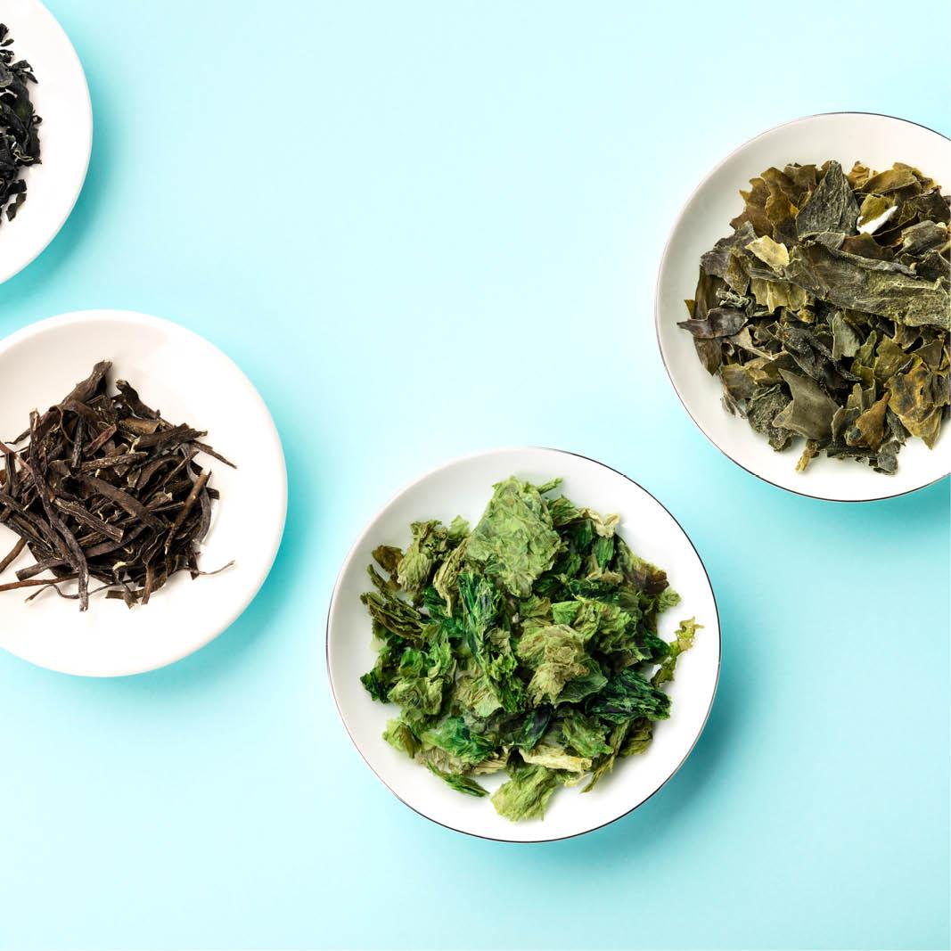 Your festive guide to holiday gifting - chosen by our team