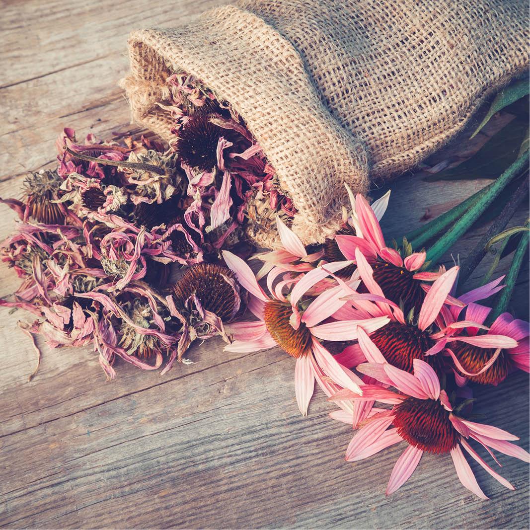 Your festive guide to holiday gifting - chosen by our team