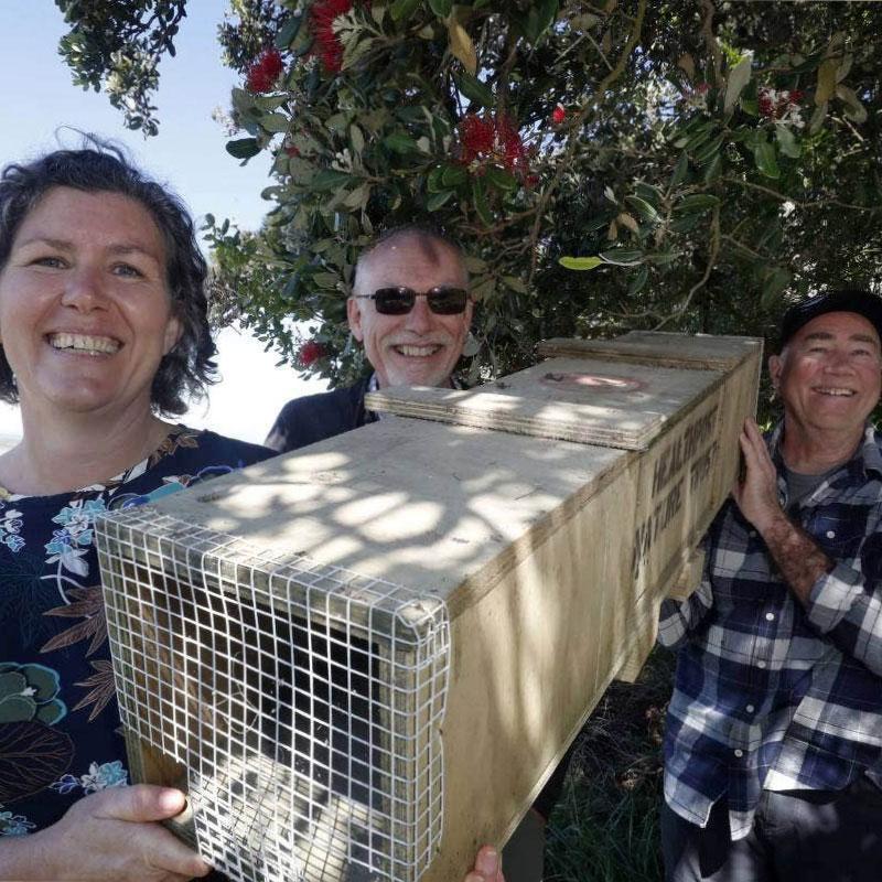 Your festive guide to holiday gifting - chosen by our team