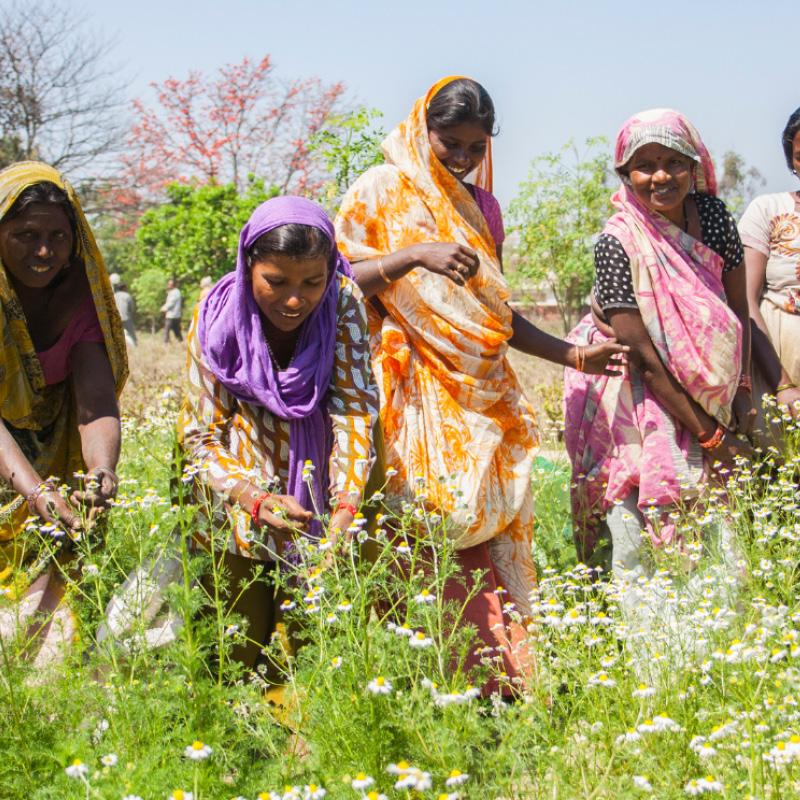 Your festive guide to holiday gifting - chosen by our team