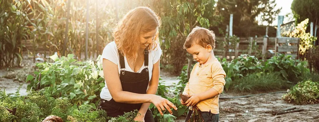 Woman in backyard garden with young son who is holding a vegetable, sun rays shining down gently illuminating the scene.