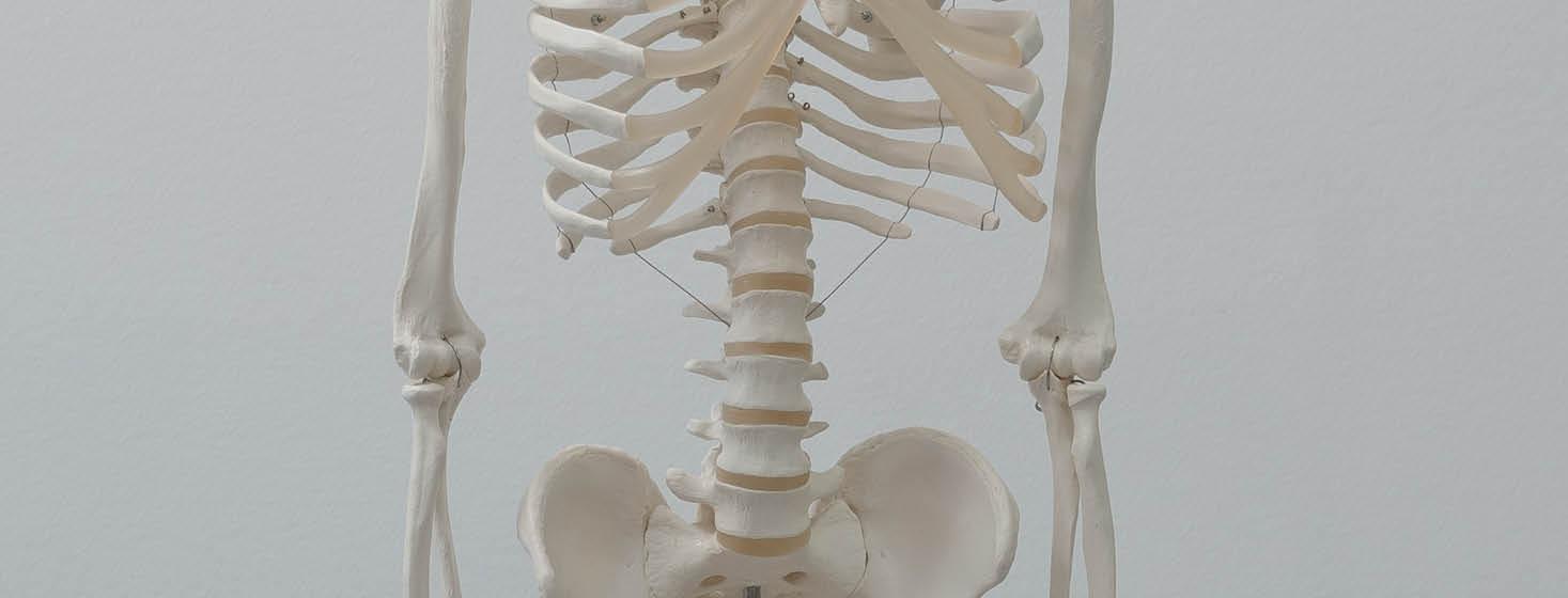 How to build a good skeleton – and keep it that way! | HealthPost NZ