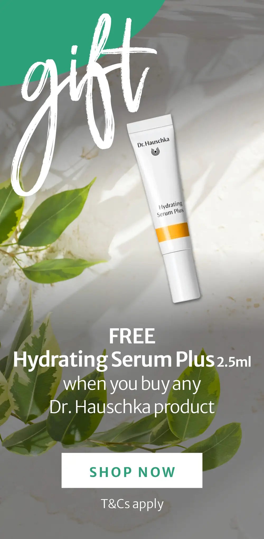 261005 Dr Hauschka GWP