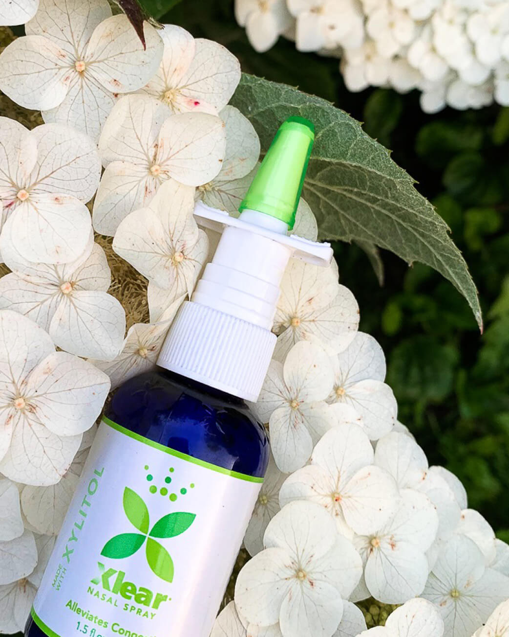 Xlear nasal spray bottle with a green nozzle on white flowers.