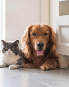 Dog and cat lying on a tiled floor in a home setting