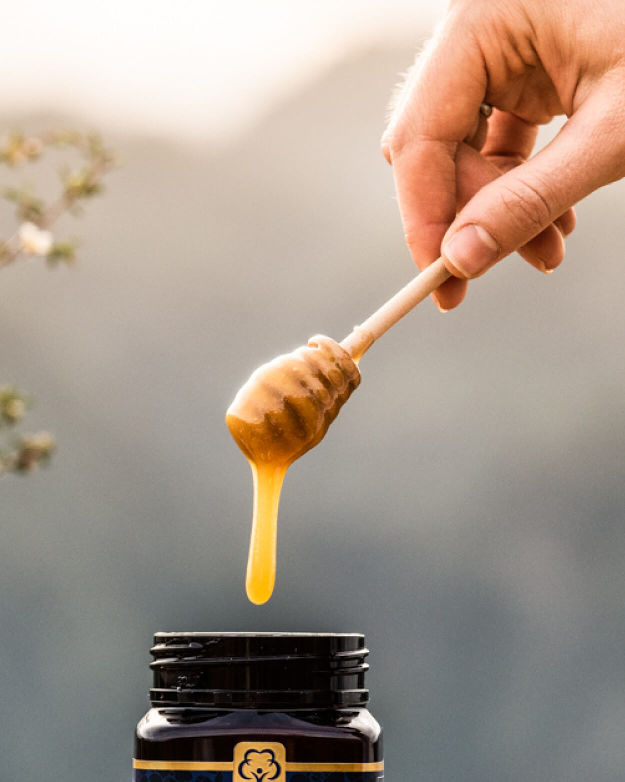 Hand holding a honey dipper with honey dripping from it, against a blurred natural background.
