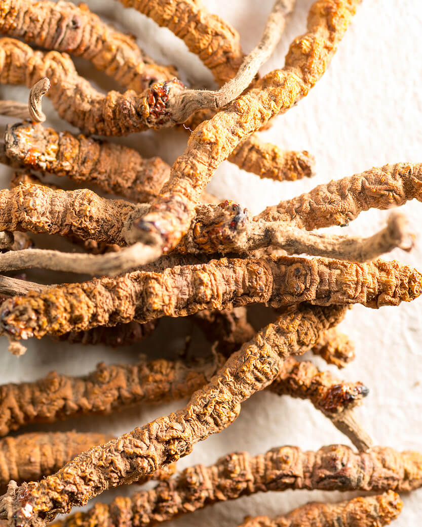Close-up of dried ginseng roots on a textured surface