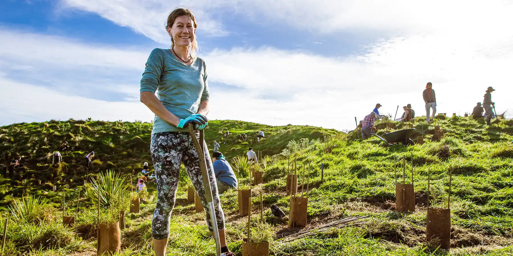 Woman planting trees in a field.