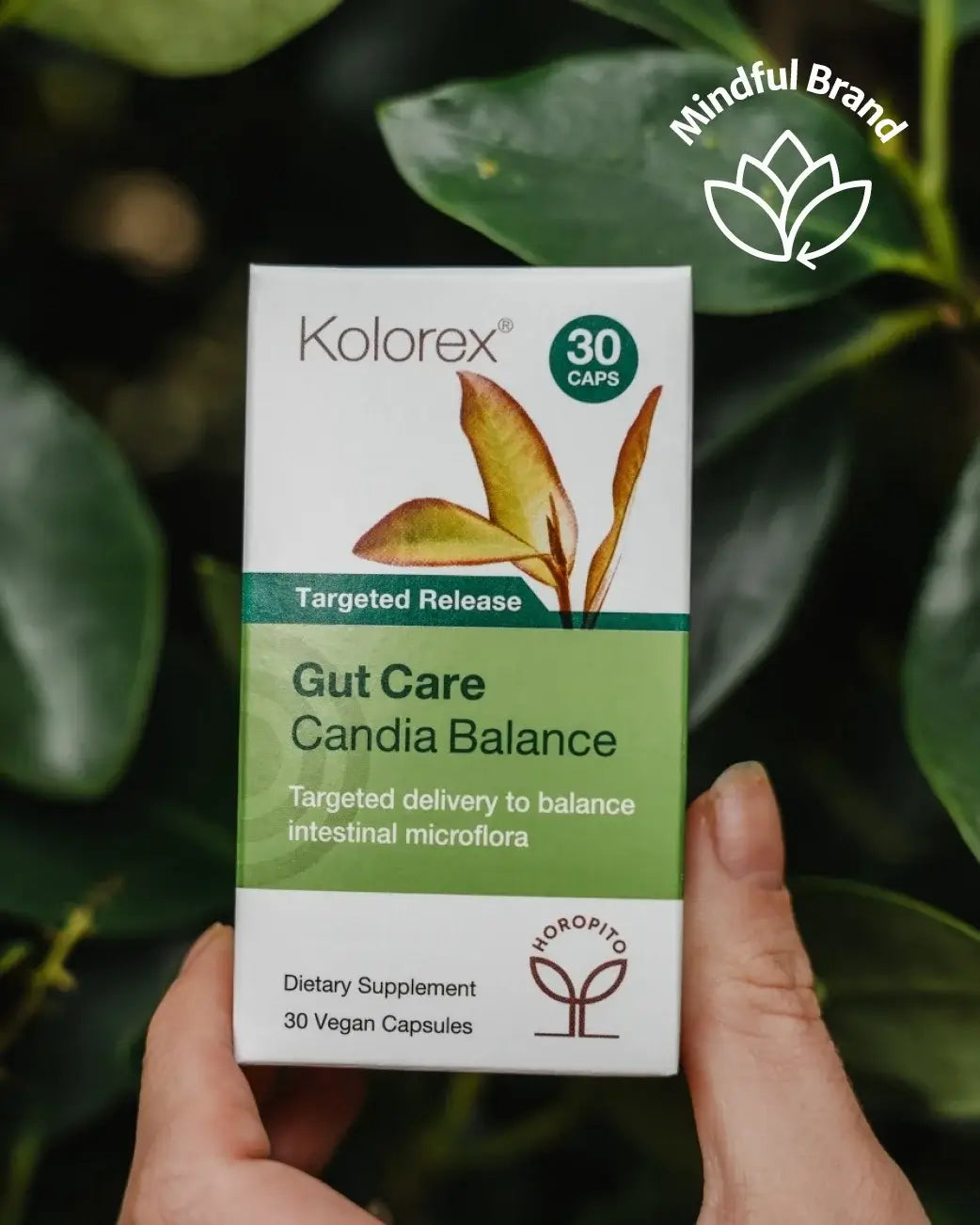 Kolorex Gut Care Candida Balance supplement box held in front of green leaves.
