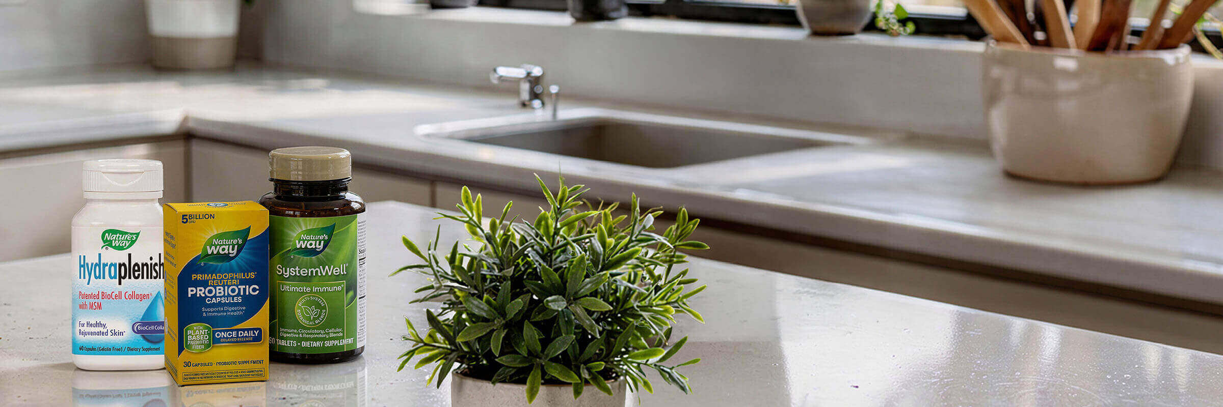 Supplement products on a white kitchen counter next to a plant.