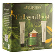 Collagen Boost Set