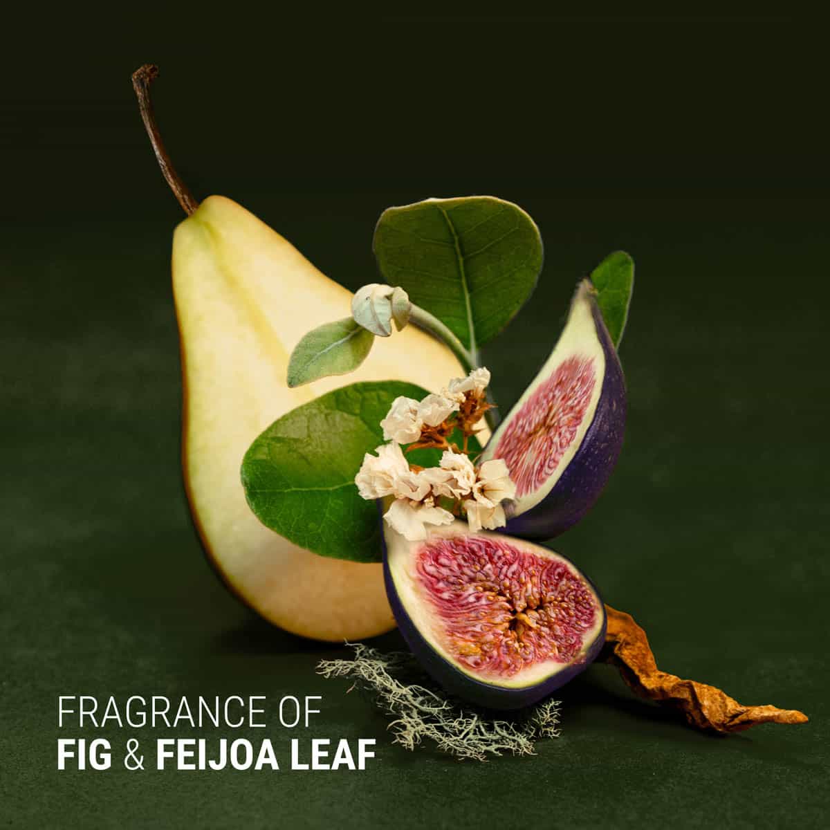 Figs and pear with leaves on a dark background, labeled 'Fragrance of Fig & Feijoa Leaf'.