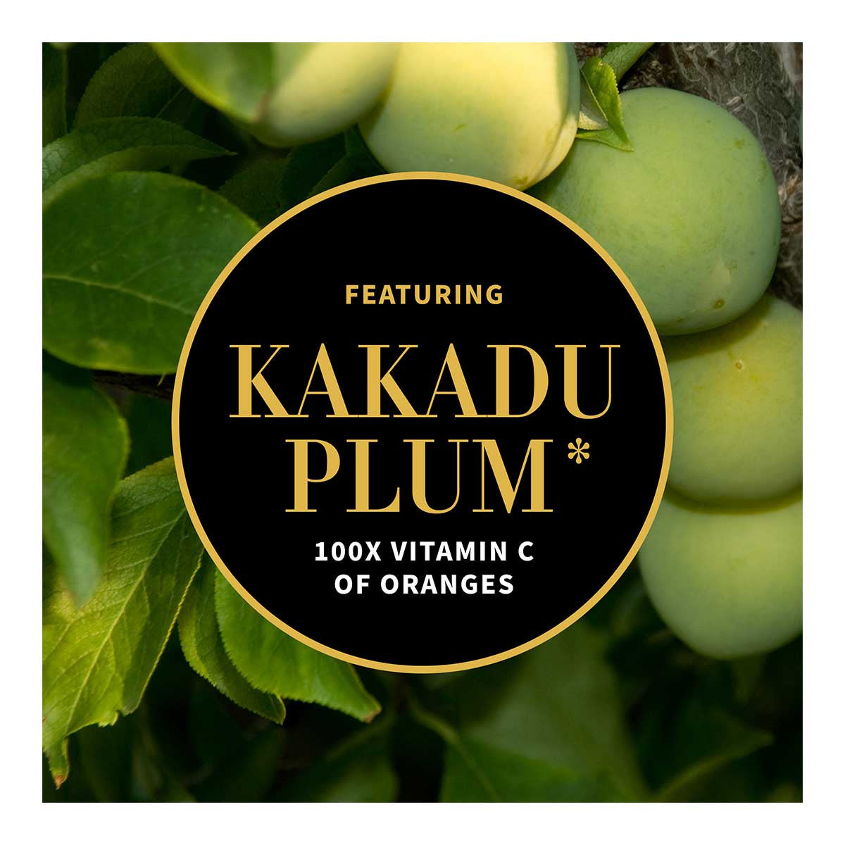 Antipodes Gospel Vitamin C Skin-Glow Gel Cleanser _4