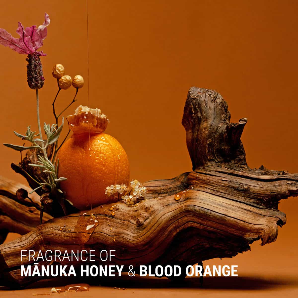Decorative arrangement with an orange, lavender, and wood on an orange background with text 'Fragrance of Manuka Honey & Blood Orange'.