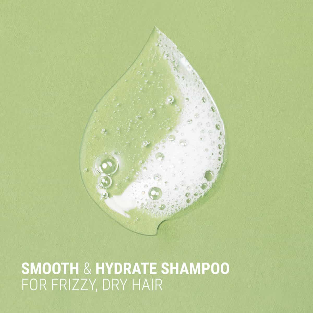 Shampoo droplet with foam on a green background, labeled 'Smooth & Hydrate Shampoo for Frizzy, Dry Hair'.