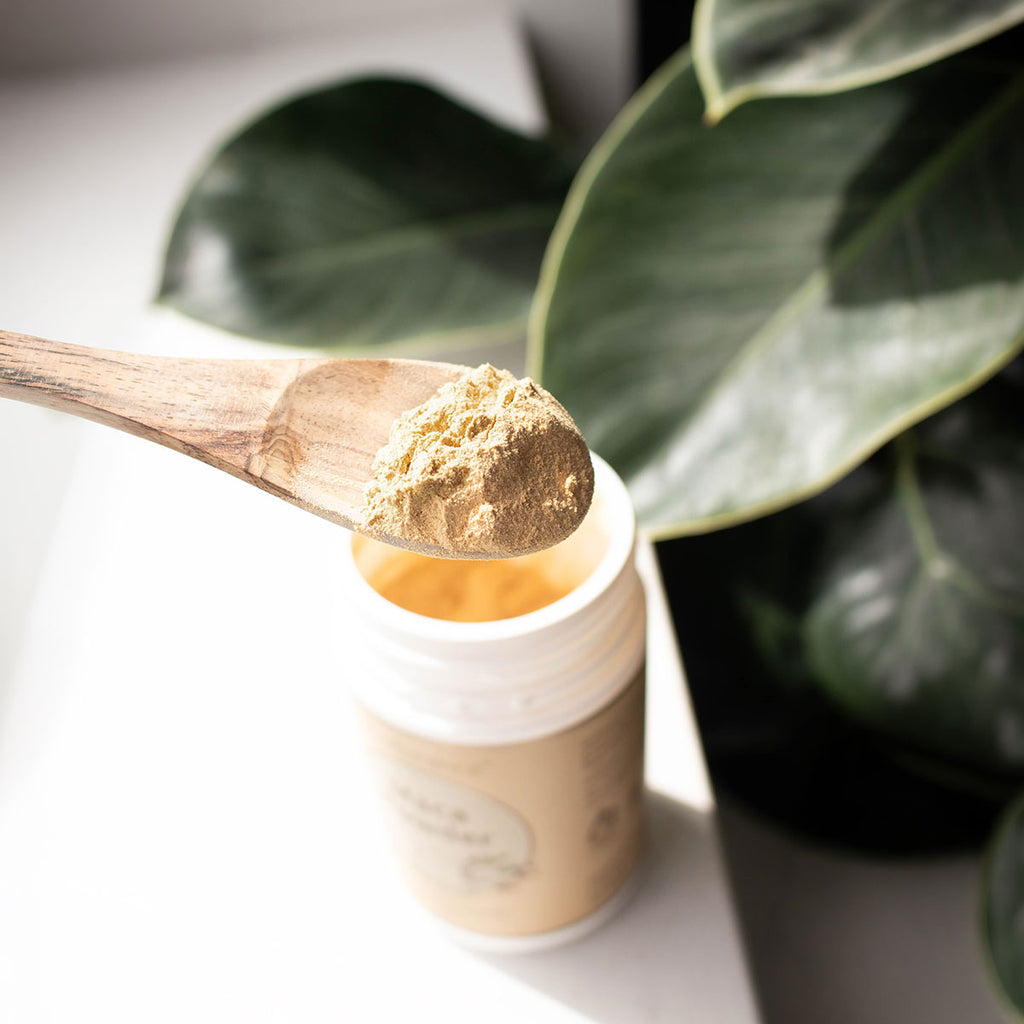 Wooden maca spoon with powder over a container on a light surface with green leaves in the background