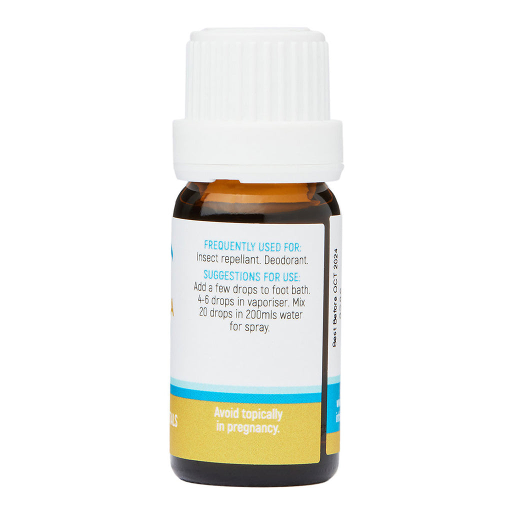 Dolphin Clinic Citronella Pure Essential Oil_1