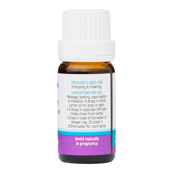 Nicely Spicy Essential Oil Blend