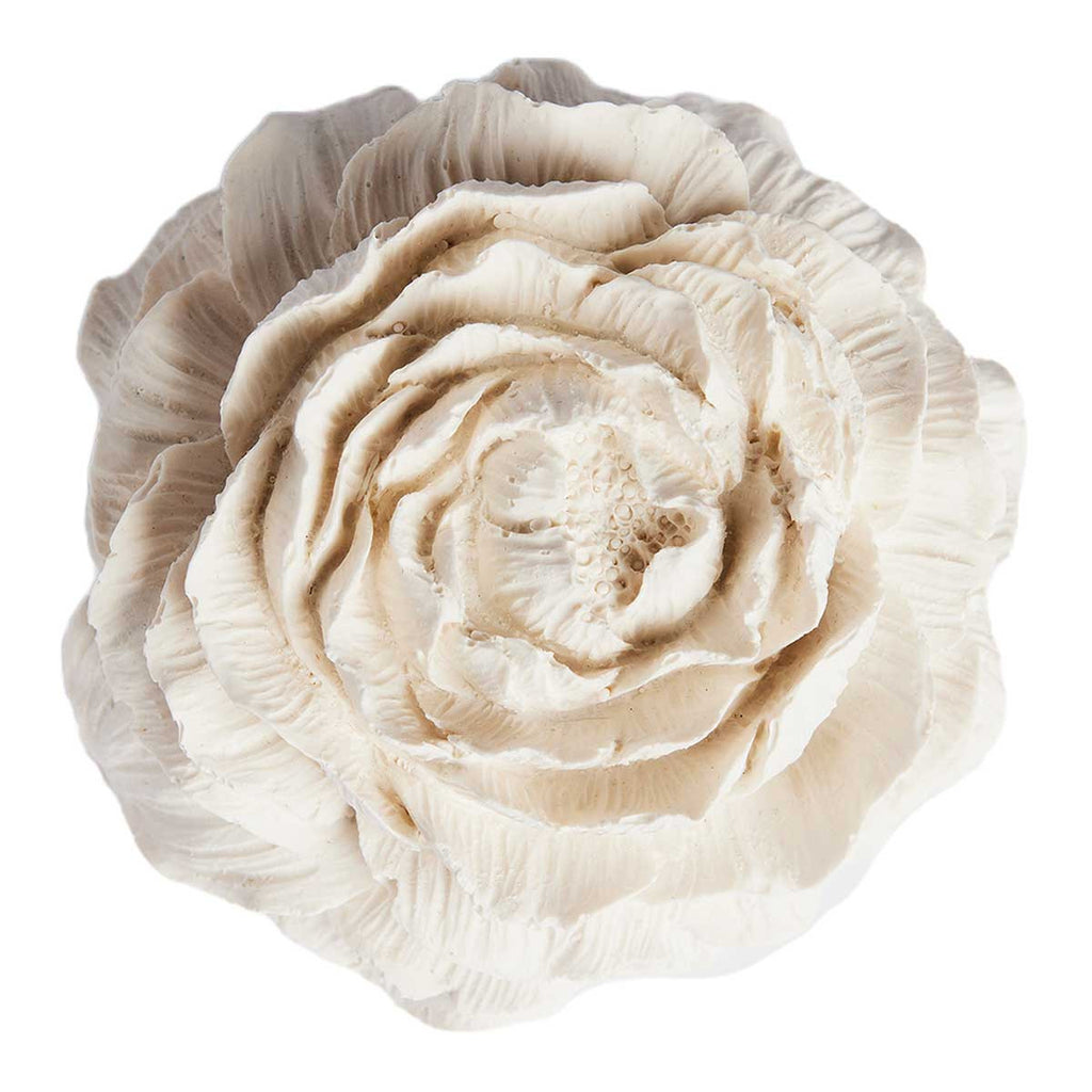 Dolphin Clinic Passive Diffuser - Peony Flower _2