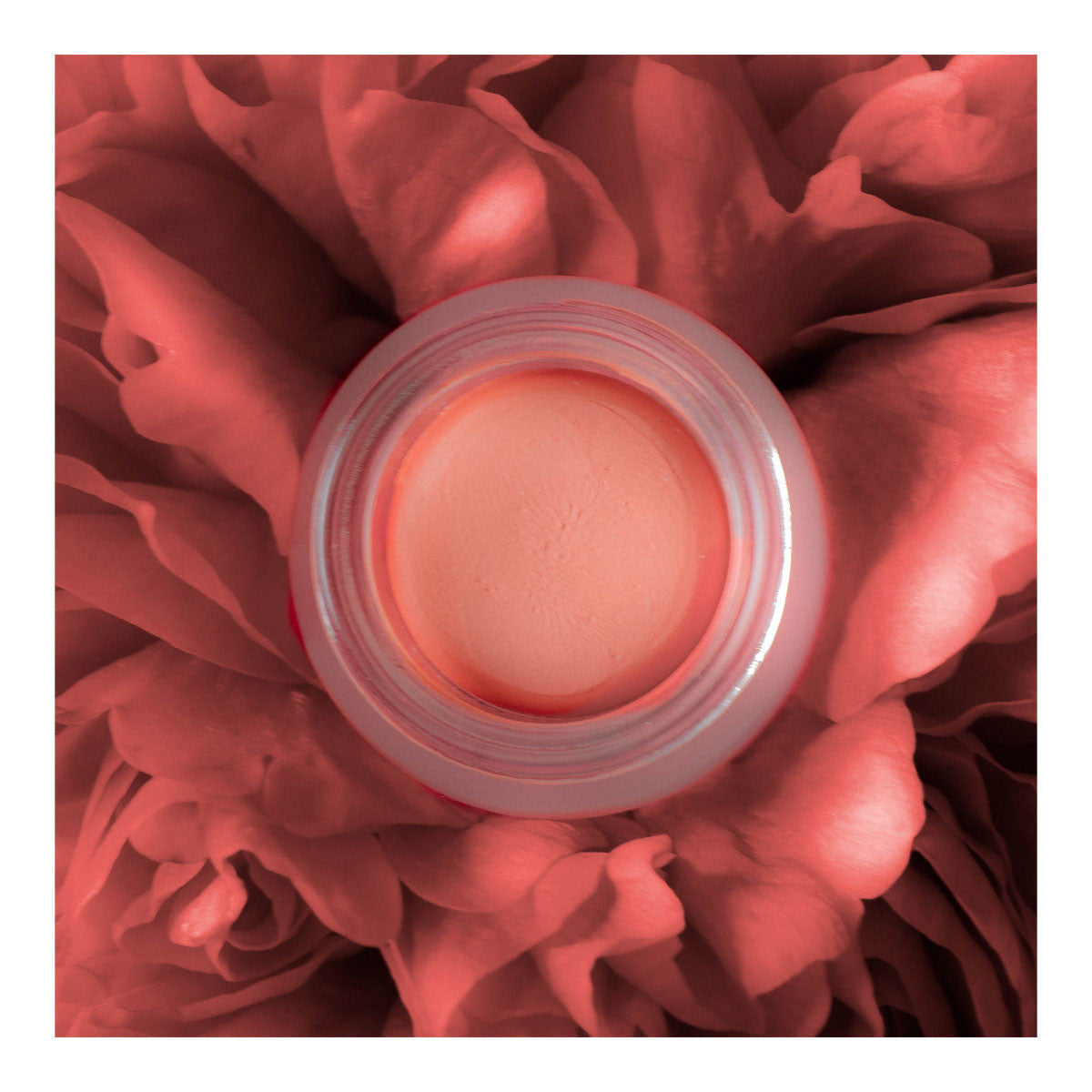 Eco By Sonya Cream Blush _3