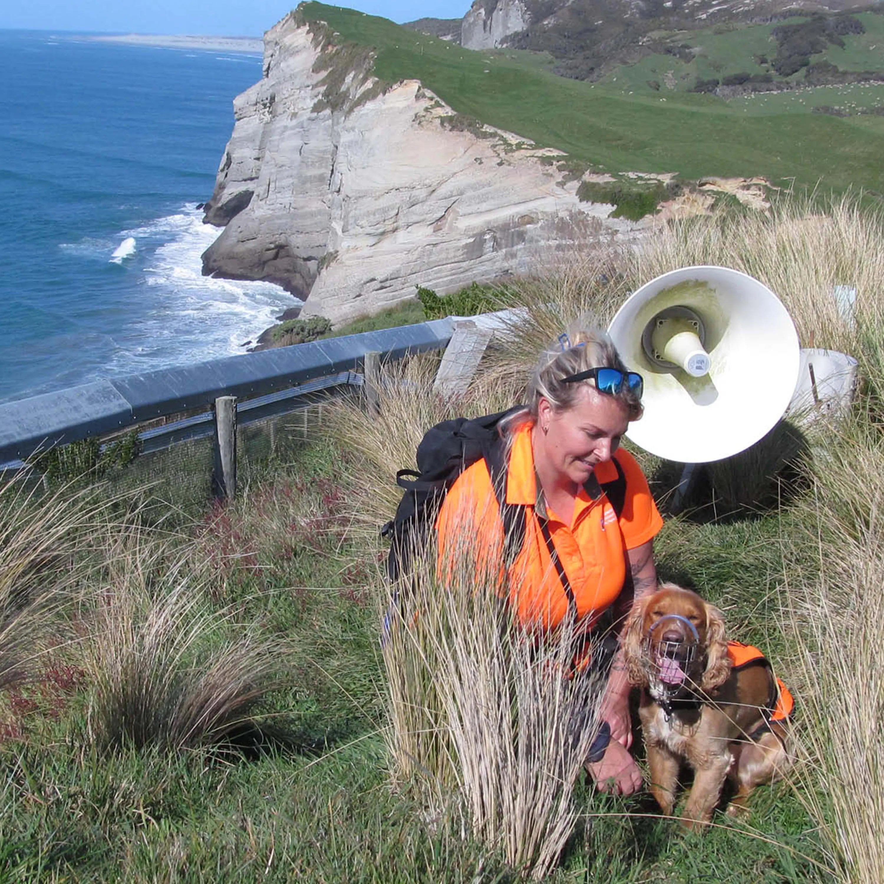 Person in orange safety vest with a dog by a coastal cliff