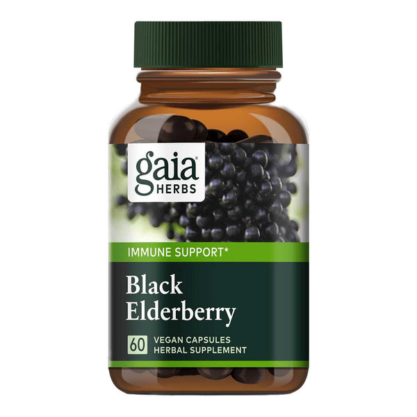 Black Elderberry