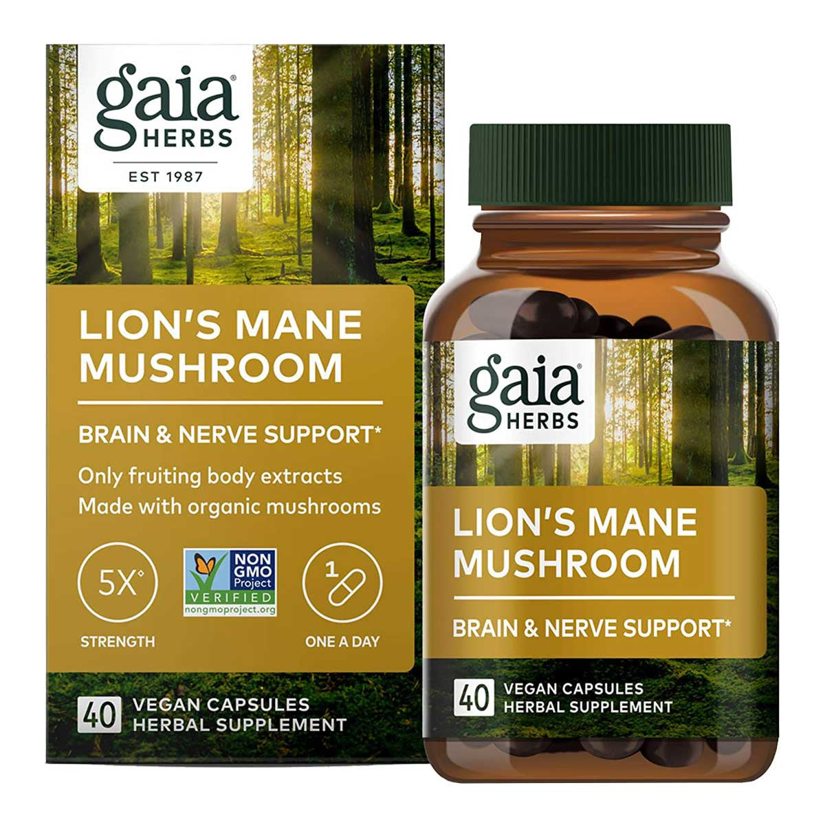 Gaia Herbs Lion's Mane Mushroom Brain & Nerve Support _2