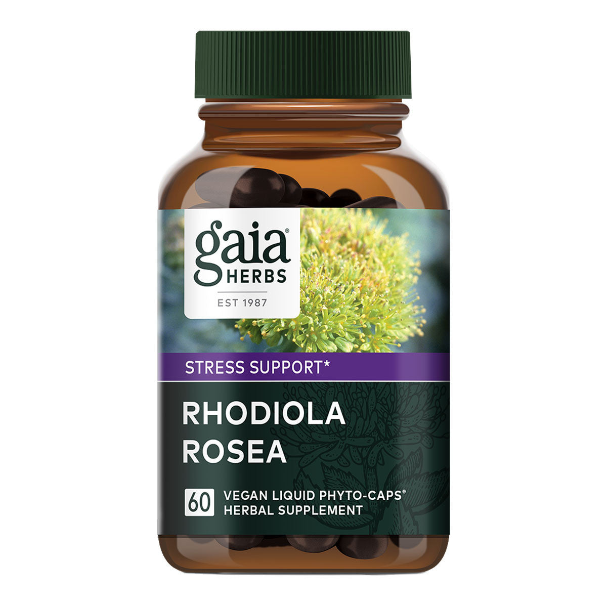 Gaia Herbs Rhodiola Rosea _1