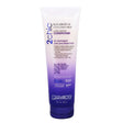 2Chic Repairing Conditioner