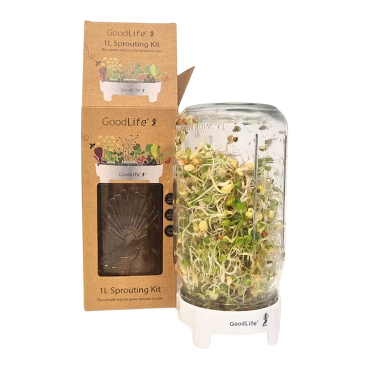 Goodlife Sprouting Jar Kit Gift Box Set _4