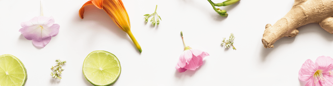 Ginger, lime slices and various flowers on a white background representing HealthPost's ingredient glossary.