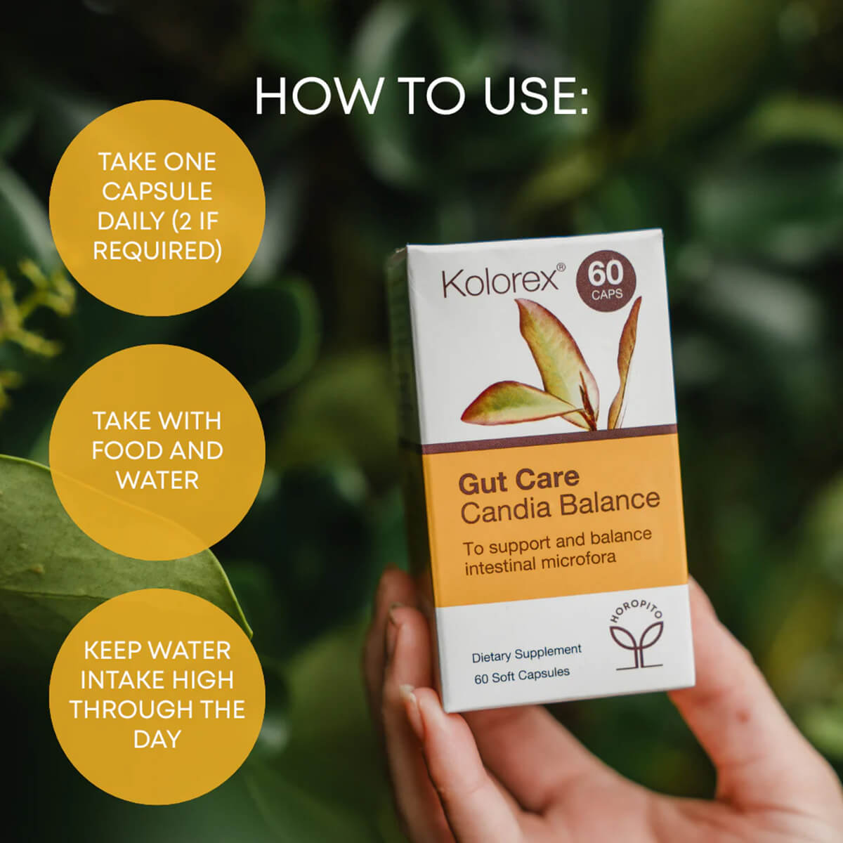 Kolorex Gut Care Candida Balance supplement box held by a hand with usage instructions on a green leafy background.