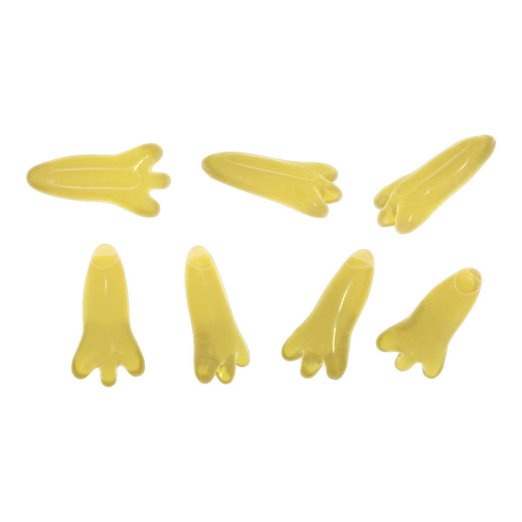 Lifestream Genius Brains DHA _3