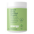 Wheat Grass Certified Organic Powder