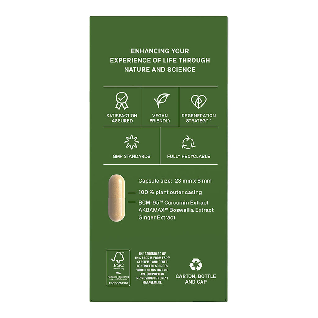 Natroceutics Curcumin Fortified BCM-95 & Akbamax & Gingerol _3