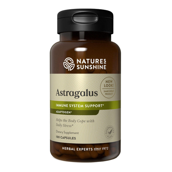 Astragalus Herbal Remedy