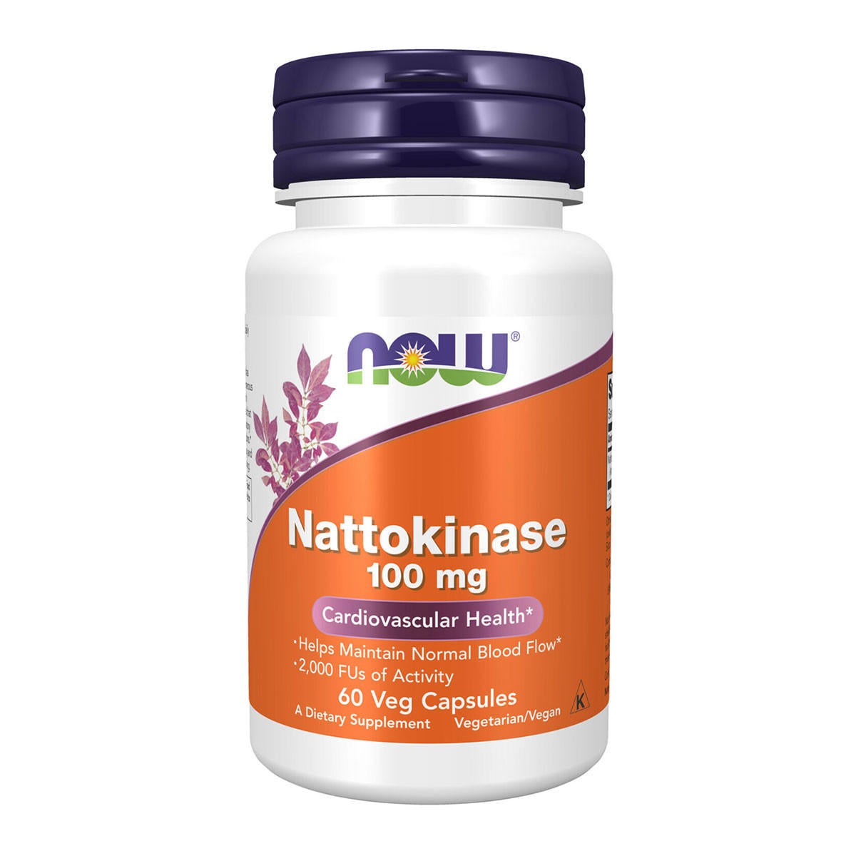 NOW foods Nattokinase 100mg_1