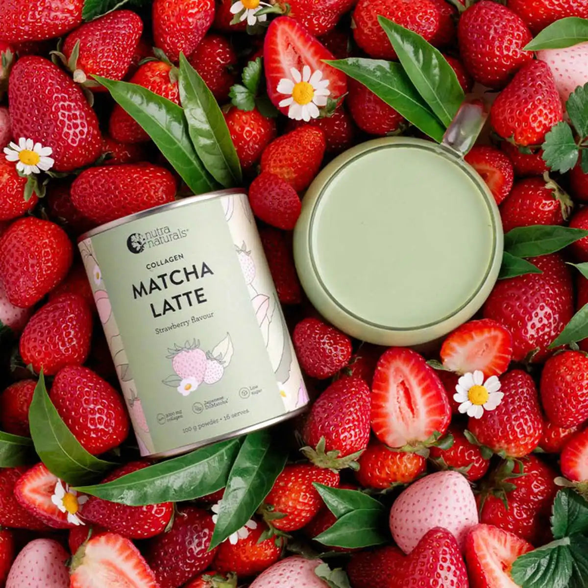 Matcha latte canister surrounded by strawberries and green leaves