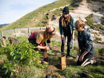 three people on a mountain planting trees