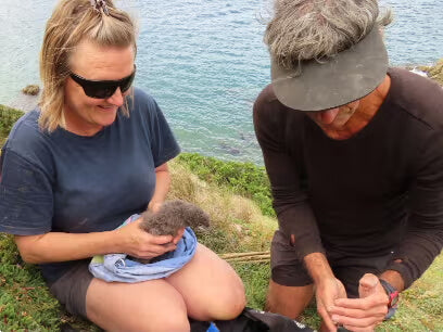 two people holding chicks on a mountain by the sea