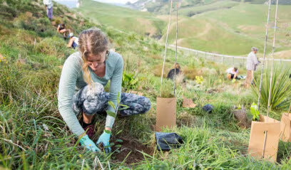 woman on a hill outside planting trees