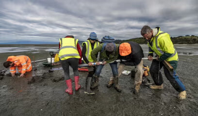 six people on the beach doing manual labour in hi viz jackets