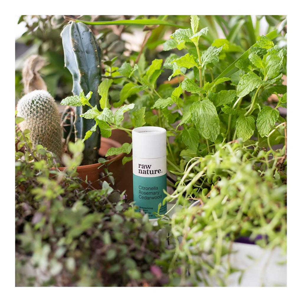 raw nature Citronella Rosemary Cedarwood Moisturising Outdoor Body Balm _3