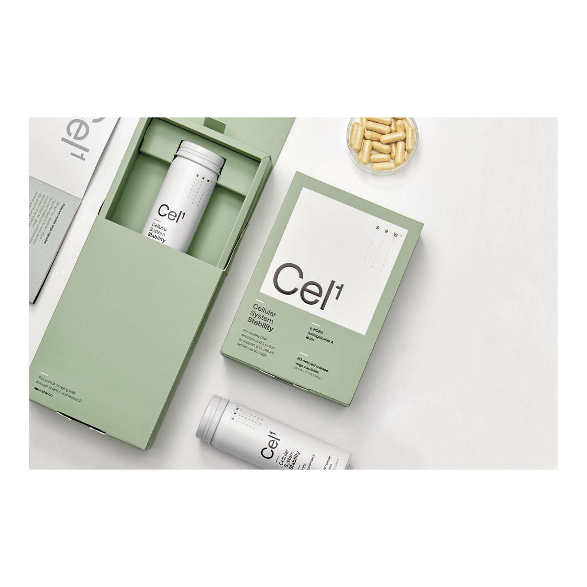 SRW CEL1 - Stability_3